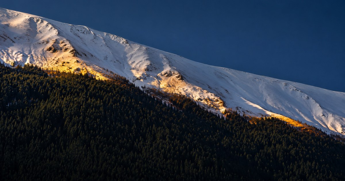 A mountainside at dusk with a crisp boundary between dark forested slopes and white snow above